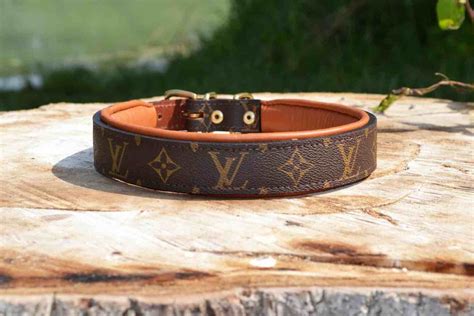 louis vuitton vet|louis vuitton collar for dog.